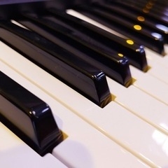 キーボード募集中〜🎵