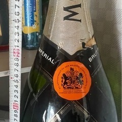 モエシャン  マグナムボトル特大の画像