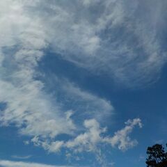 全国エリア　雑談系　LINE　オプチャ　愛媛県　メンバー　…