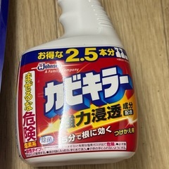 《激安》水回り洗濯洗剤、レア柔軟剤、消臭ビーズ、カビキラー、パイプフィニッシュproの画像