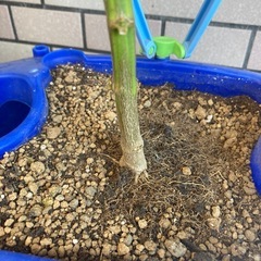 話し中①の画像