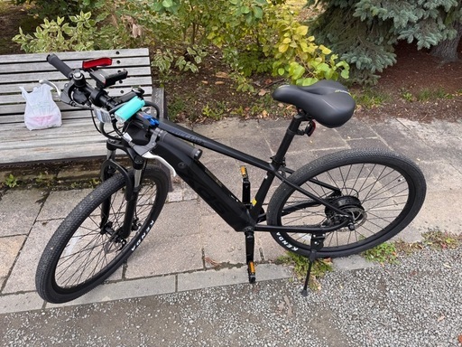XDS advance 800 E-bike
