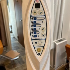 わくわく　美容促進機の画像