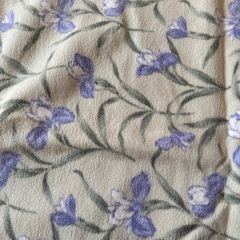 綿毛布🛏️シングルサイズの画像