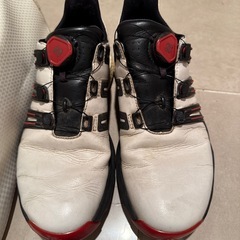 adidas ゴルフシューズ　ケース付きの画像