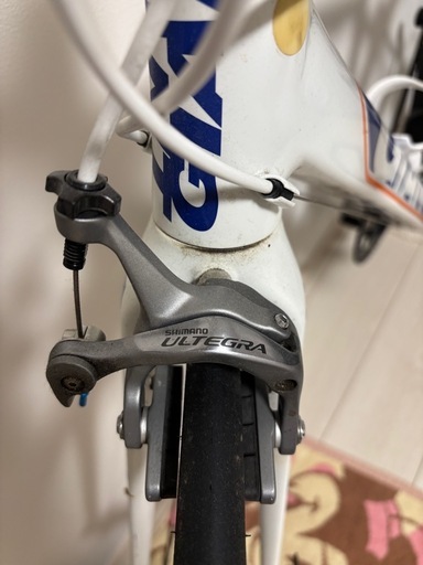 ジャイアントTCR　rabo bank