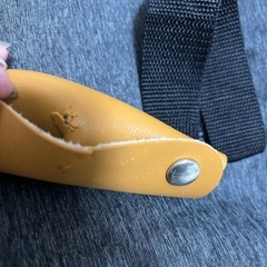 ペット　キャリーバックの画像