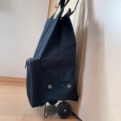 ライゼンタール ミニマキシトロール 黒 コンパクト収納 ショッピングカート 車輪の画像