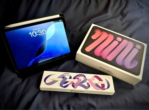  2024 iPad mini7 256GB Wi-Fi+セルラー & Apple Pencil Pro セット   