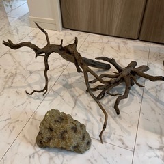 Arion 爬虫類ゲージヒーター付き　の画像