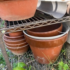 植木鉢大量セット　漬物石おまけ　無料！ の画像