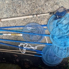 網あみ　たくさん🎣の画像