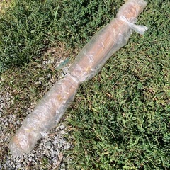 すだれ無料！の画像