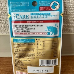 ☆12個セット☆アイシア iCARE ペースト 2種類の画像