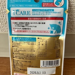 ☆12個セット☆アイシア iCARE ペースト 2種類の画像