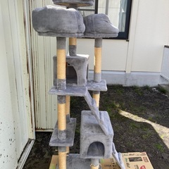 (商談中)⭕️キャットタワーの画像