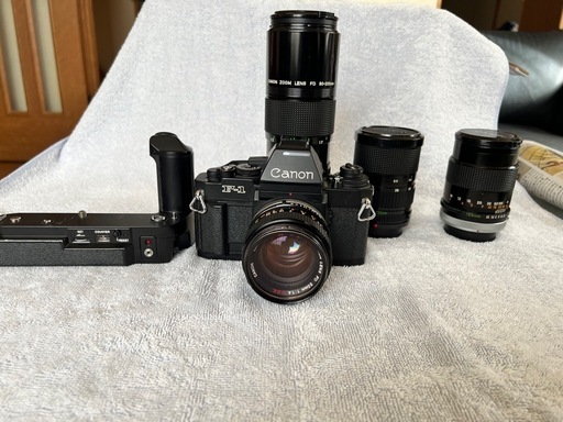 J*N様 内藤ルネ 青い鳥 レアカラー 内藤ルネ 青い鳥 レアカラー