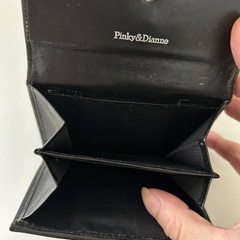 ピンキー&ダイアンの画像