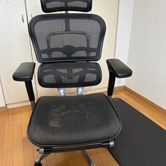 エルゴヒューマン プロ オットマン内蔵型 Ergohuman Pro Ottoman EHP-LPL KM-11 ブラック EHP-LPL-KM-11の画像