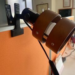 電球型蛍光灯の画像