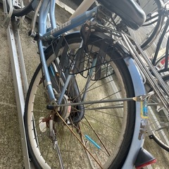🚲🐒 自転車の画像