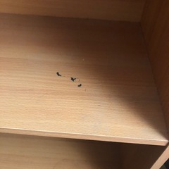 カラーボックスの画像