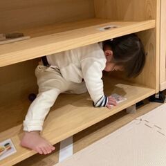２歳女の子の専属家庭教師募集！