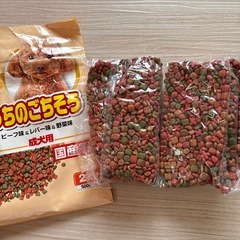 犬のご飯の画像
