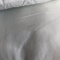 枕 カバー無し 40×60cm 2個セットの画像