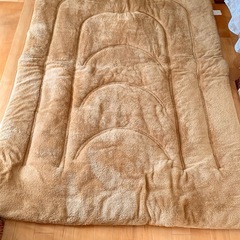 9     毛布布団(グリーン系)　シングルの画像