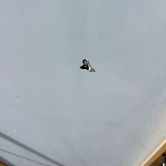 ☆a204　ワイドスタンドミラーの画像