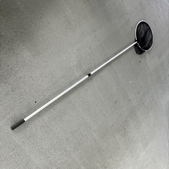 タモの画像
