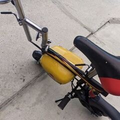 電動エレクトリックライダー、バッテリー、充電器無しの画像