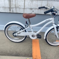 s51 concept  レイアロハ　ビーチクルーザーの画像