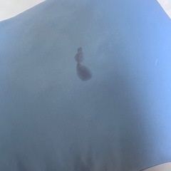 クールまくらの画像