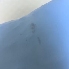 クールまくらの画像