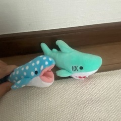 サメーズの画像