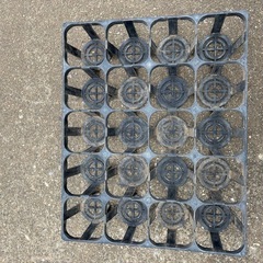 中古花鉢トレー育苗プラスチック
の画像