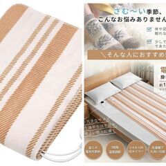 電気毛布 掛け敷き兼用 洗える【160x80cm 7段階温度調節 2-4-8-12H切タイマー】80W 節電 電気ブランケット 速暖 省エネ ダニ退治 軽くて柔かい生地 肩掛け 膝掛け シングル 防寒対策 暖房器具 キャンプ オフィス 車中泊 ギフト PSE認証済み (ストライプブラウン, 160*80CM)　新品・未使用・未開封の画像