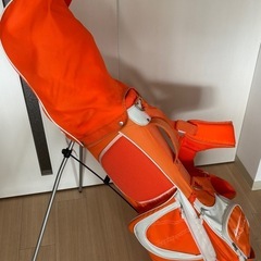  【中古】 レディースゴルフセット 豪華14点セット 10本 ワールドイーグル L フレッ クスL ORLD EAGLE キャディバッグ の画像