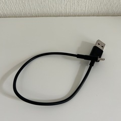 イヤホン SoundcoreLifeの画像