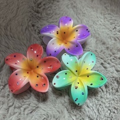 プルメリアクリップ🌸の画像