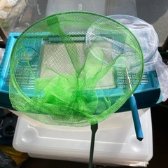 水槽と虫取りアミの画像