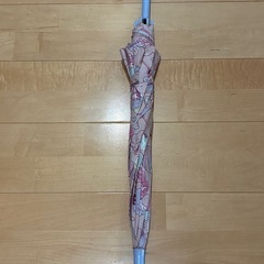 傘　50cmの画像