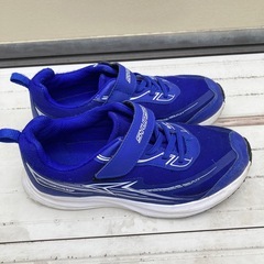 瞬足　キッズ　スニーカー　　23cmの画像