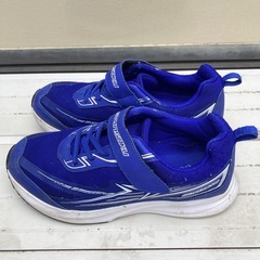 瞬足　キッズ　スニーカー　　23cmの画像