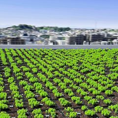 アルバイト・正社員