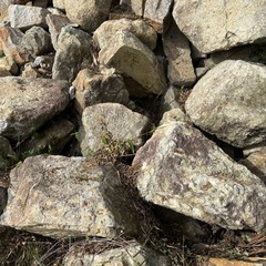無料　あげます　庭石　大きい石
