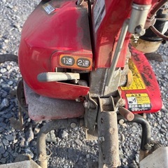 ヤンマー MTE30耕運機 引き取り限定 の画像