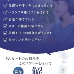 ハト、だめ。300mL 忌避ラボ ハト忌避剤の画像